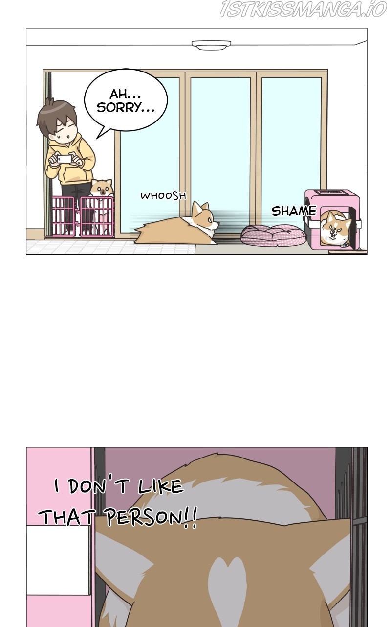 The Dog Diaries Chapter 82 - page 18