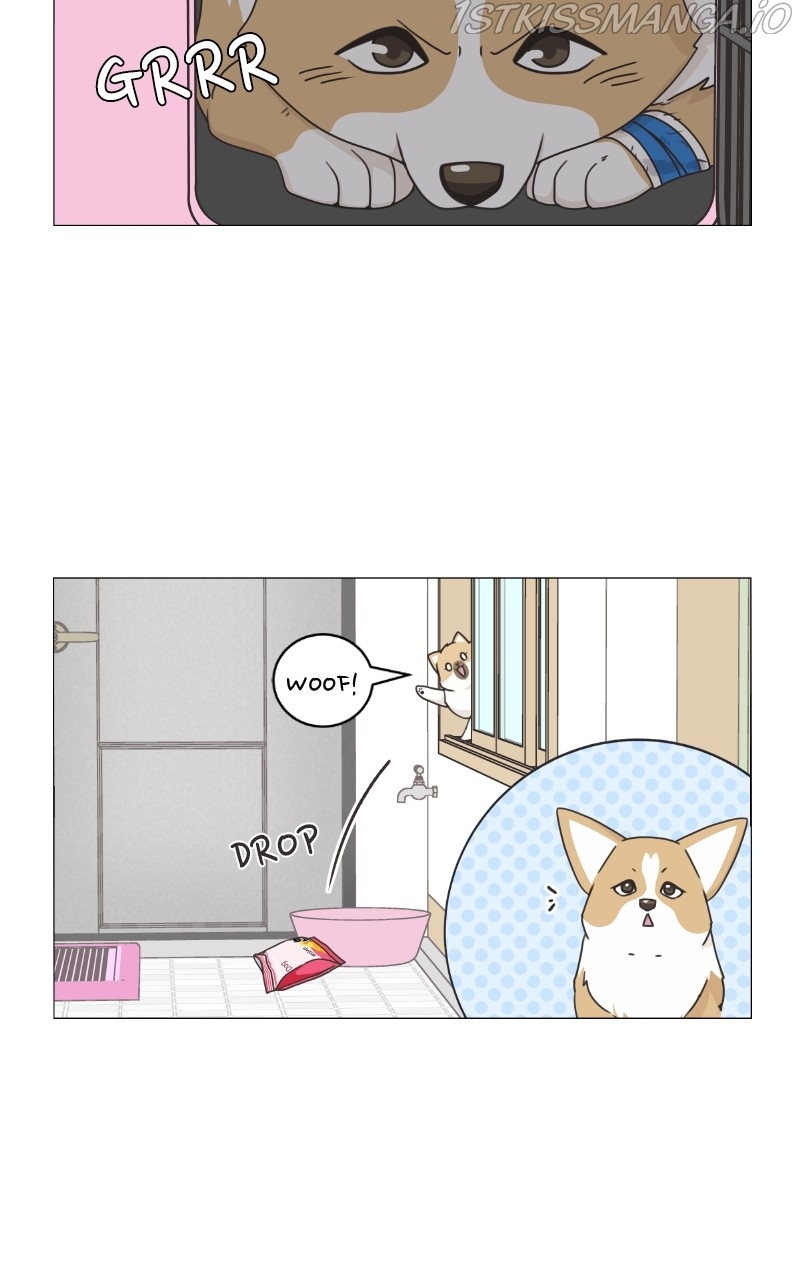 The Dog Diaries Chapter 82 - page 19