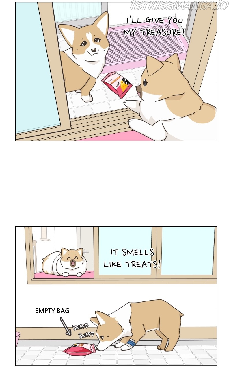 The Dog Diaries Chapter 82 - page 20