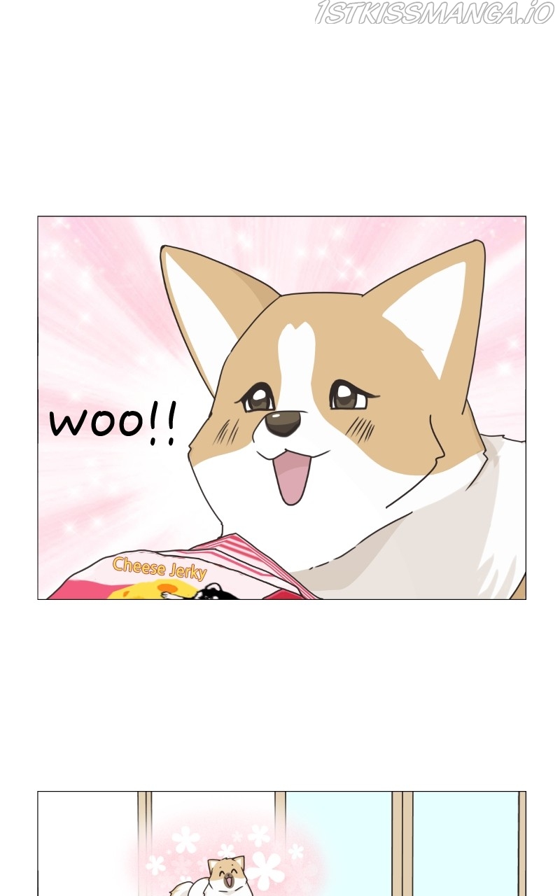 The Dog Diaries Chapter 82 - page 21