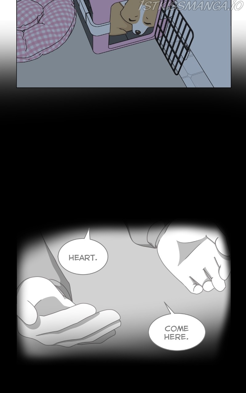 The Dog Diaries Chapter 82 - page 29