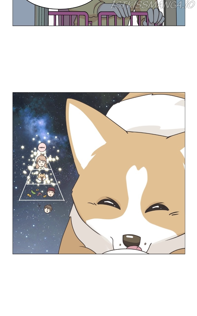 The Dog Diaries Chapter 82 - page 44