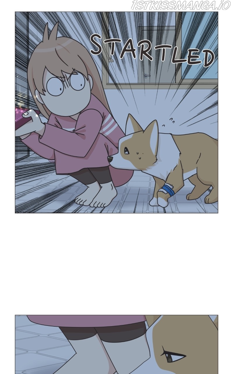The Dog Diaries Chapter 82 - page 49