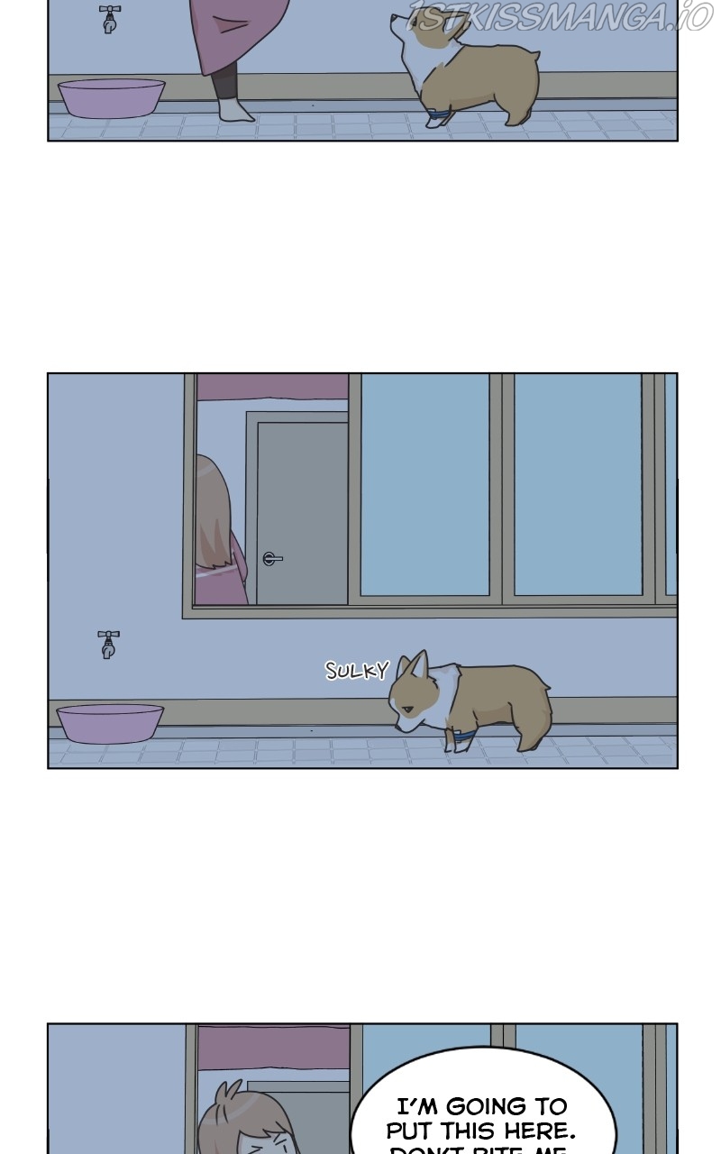 The Dog Diaries Chapter 82 - page 52