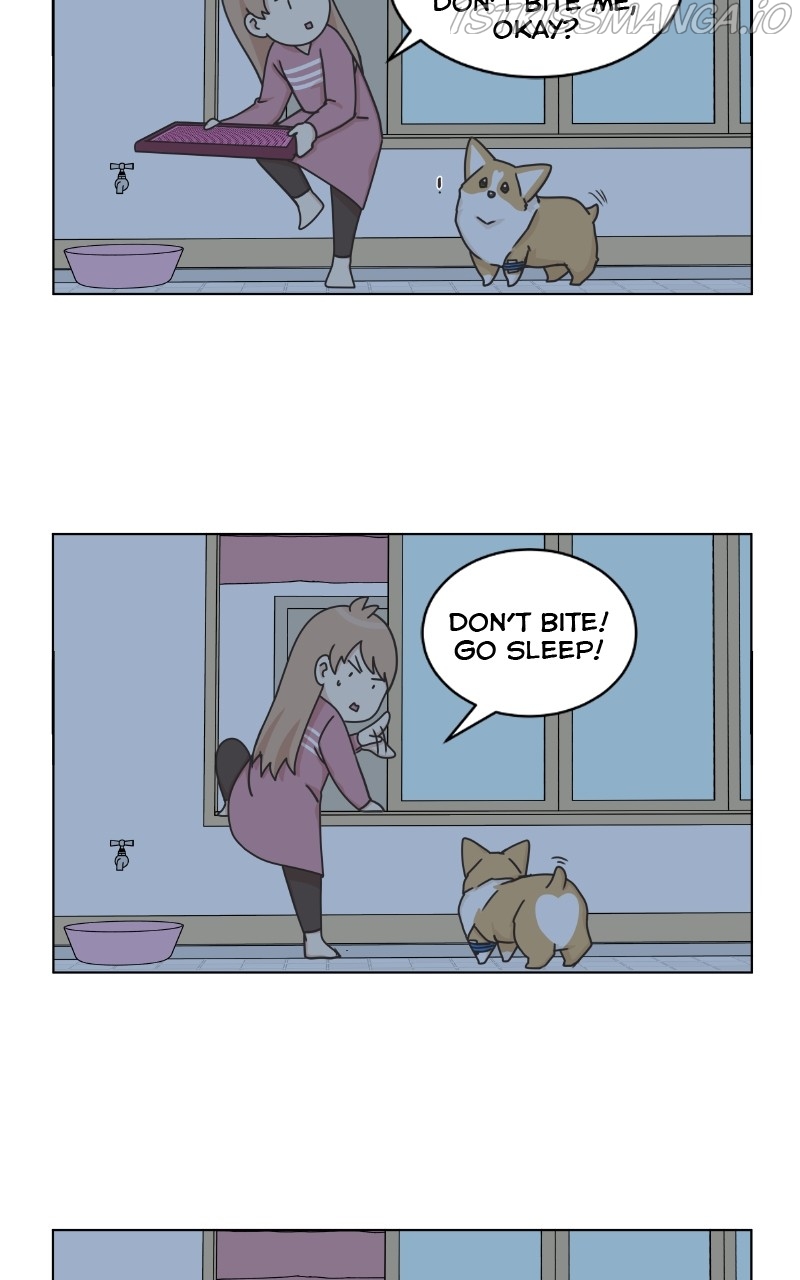 The Dog Diaries Chapter 82 - page 53