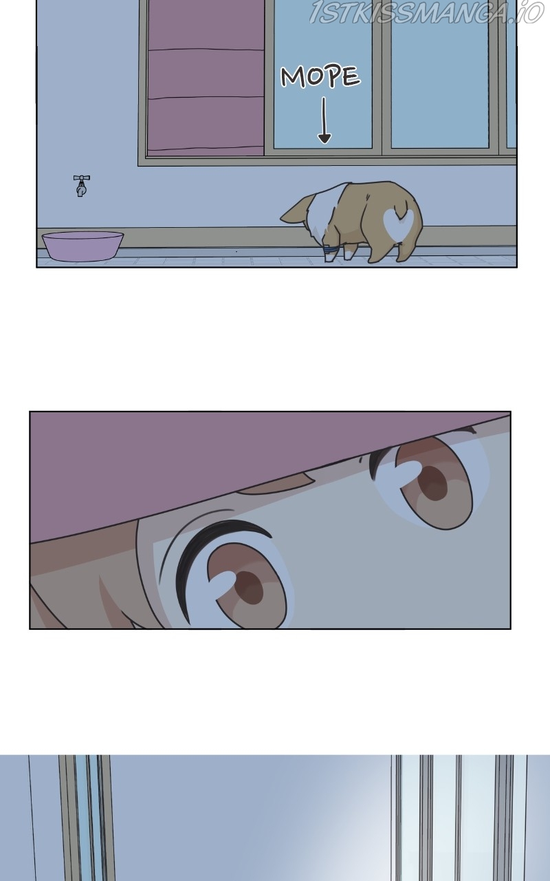 The Dog Diaries Chapter 82 - page 54