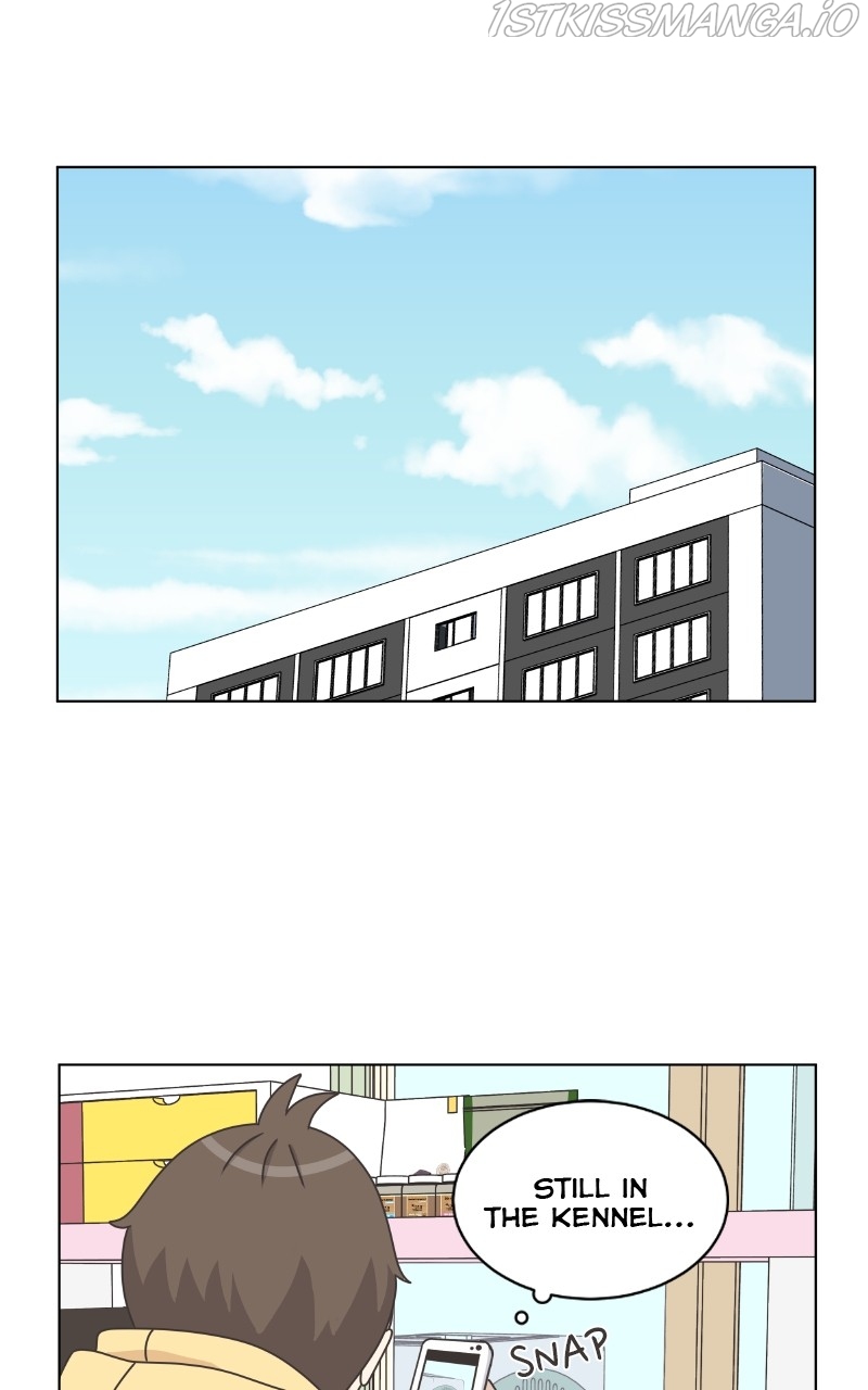 The Dog Diaries Chapter 82 - page 56