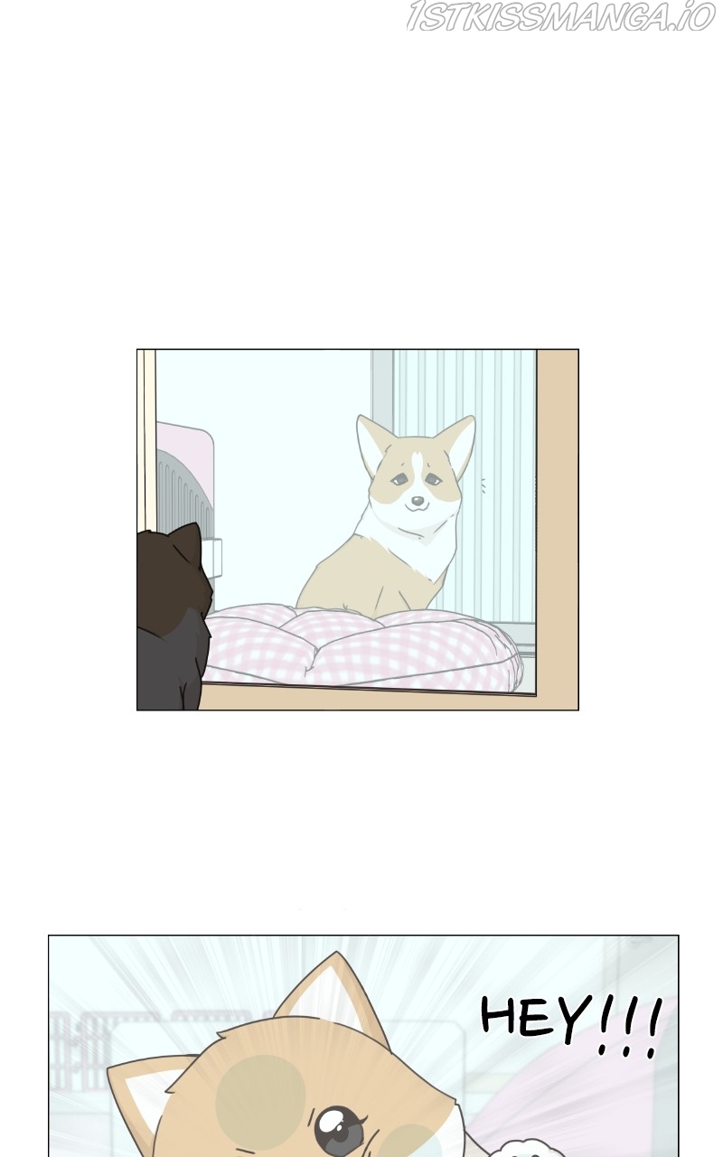 The Dog Diaries Chapter 82 - page 8