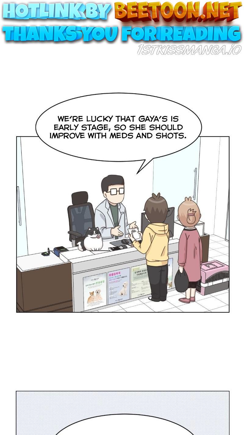 The Dog Diaries Chapter 81 - page 1