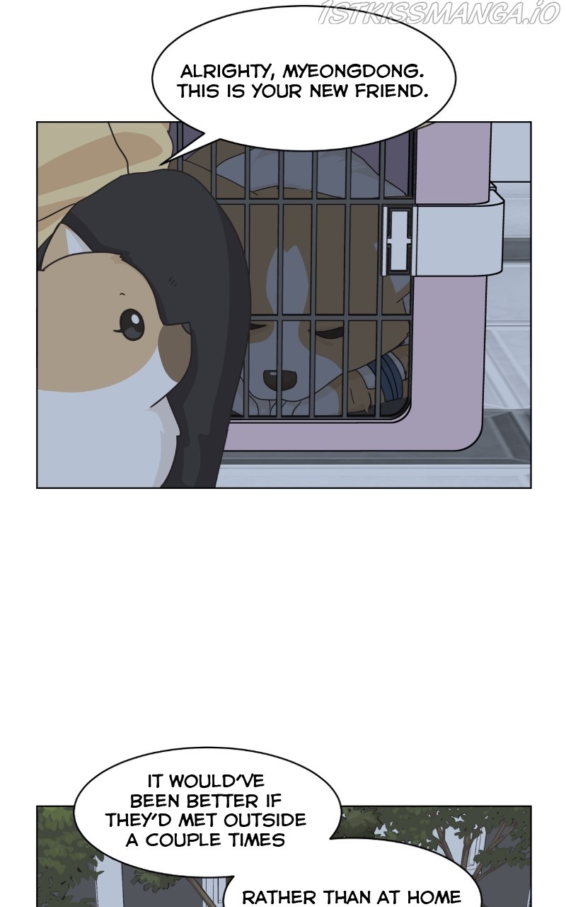 The Dog Diaries Chapter 81 - page 12