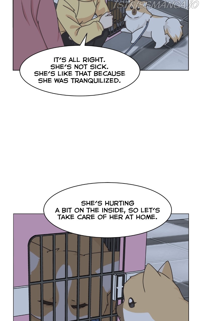 The Dog Diaries Chapter 81 - page 14