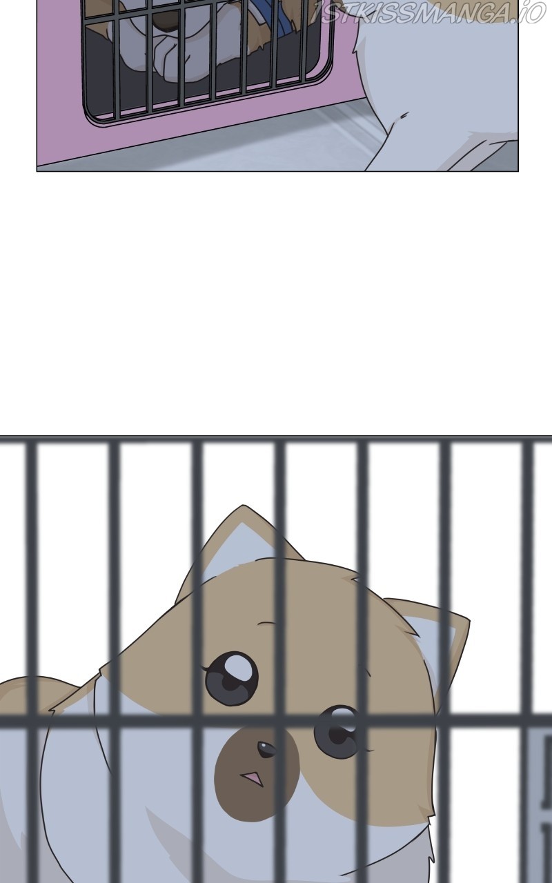 The Dog Diaries Chapter 81 - page 15