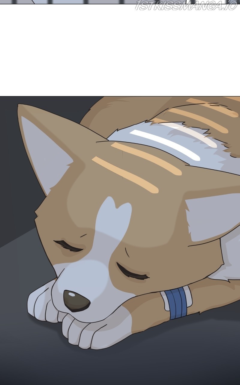 The Dog Diaries Chapter 81 - page 16
