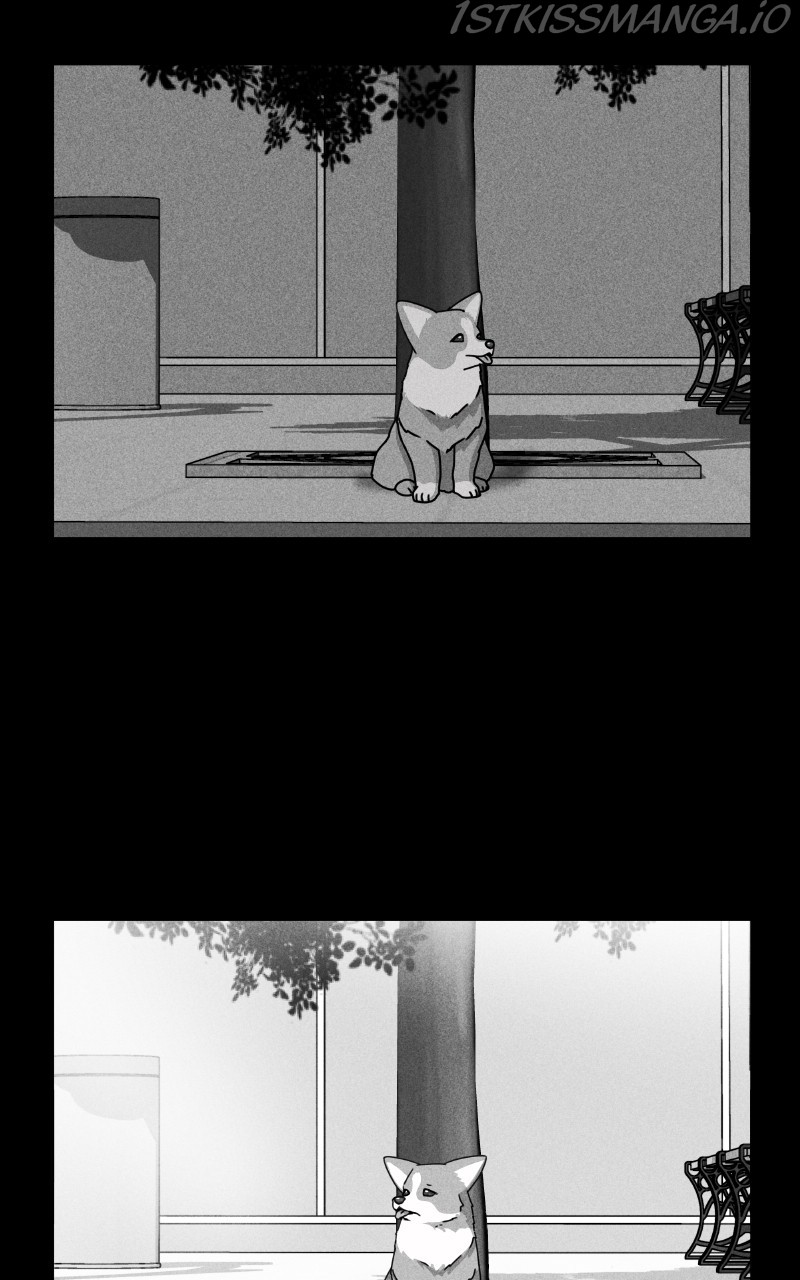 The Dog Diaries Chapter 81 - page 20