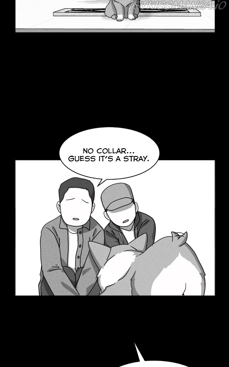 The Dog Diaries Chapter 81 - page 21