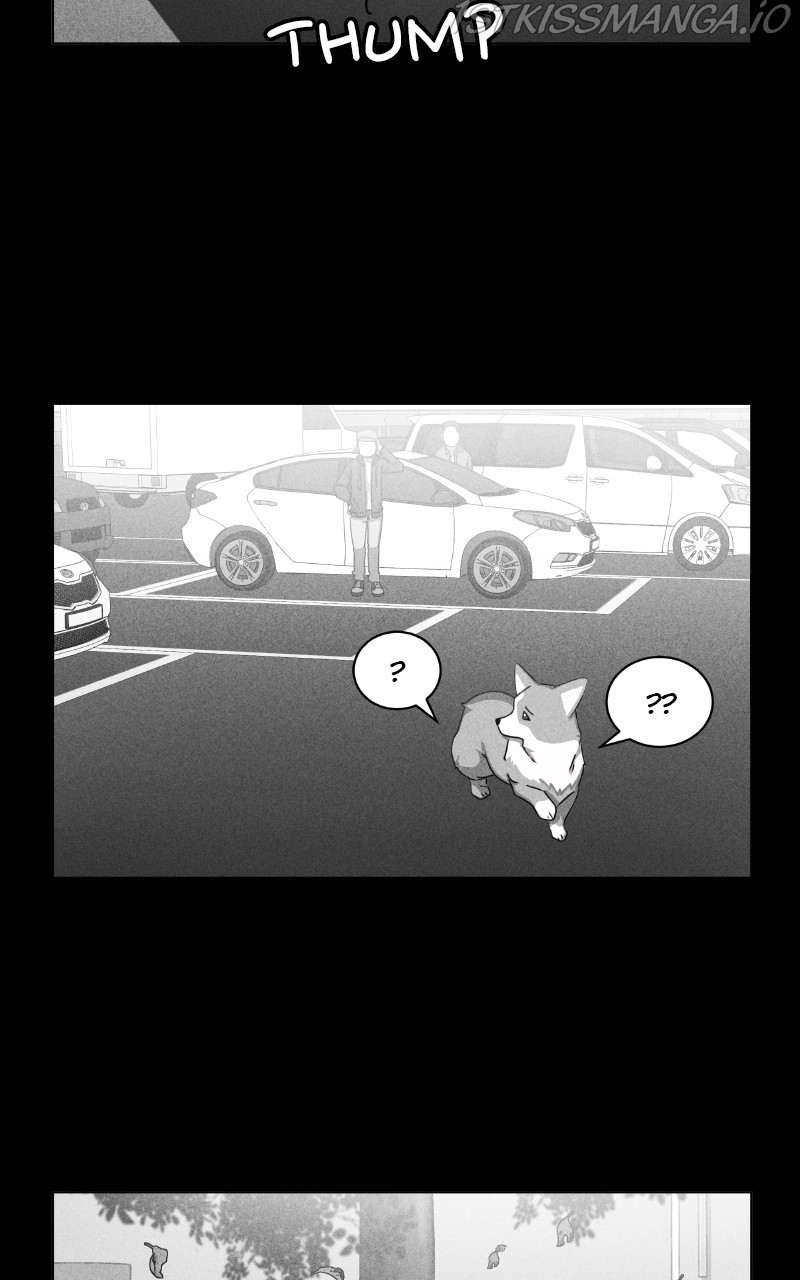 The Dog Diaries Chapter 81 - page 24