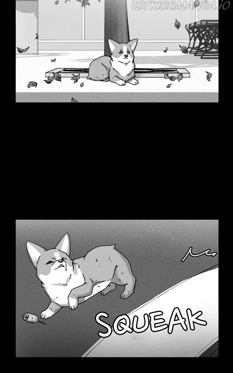 The Dog Diaries Chapter 81 - page 25