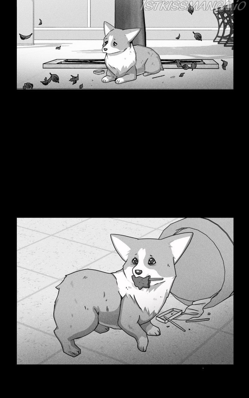 The Dog Diaries Chapter 81 - page 27