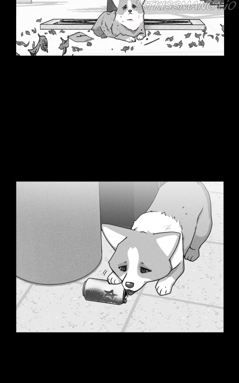 The Dog Diaries Chapter 81 - page 29