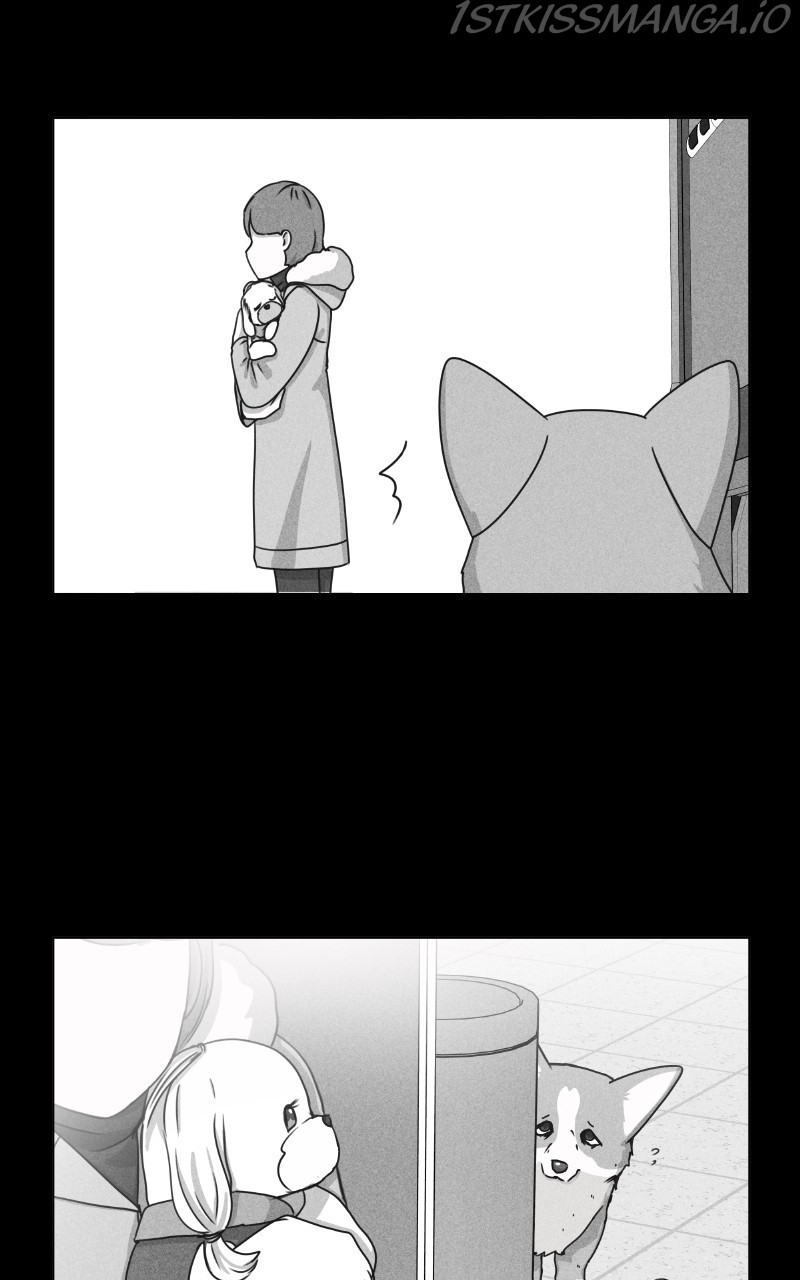 The Dog Diaries Chapter 81 - page 30