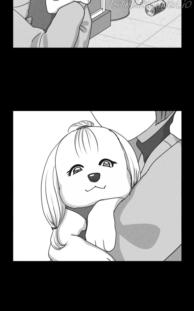The Dog Diaries Chapter 81 - page 31