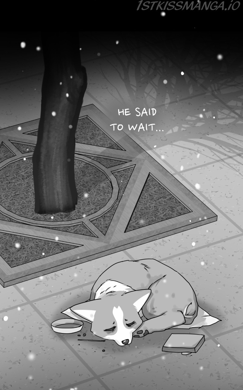 The Dog Diaries Chapter 81 - page 35