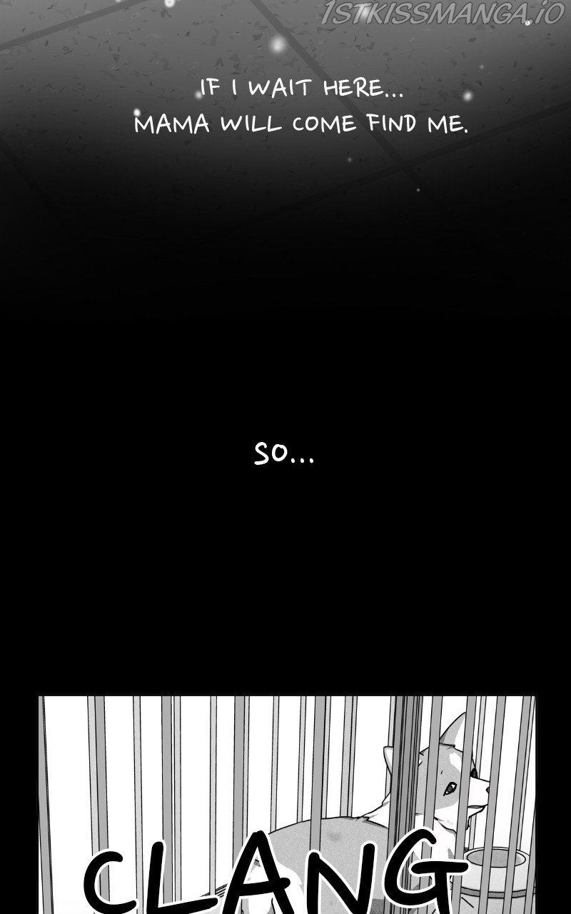 The Dog Diaries Chapter 81 - page 36