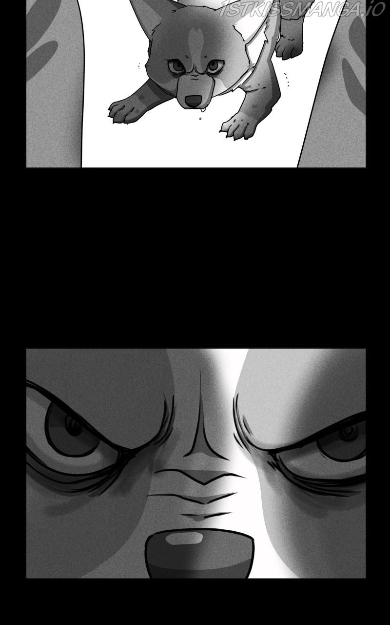 The Dog Diaries Chapter 81 - page 38