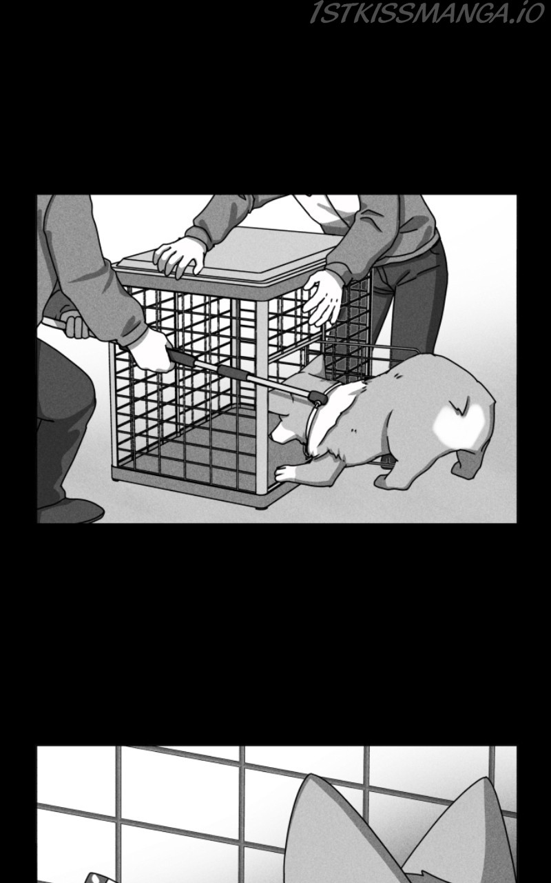 The Dog Diaries Chapter 81 - page 39