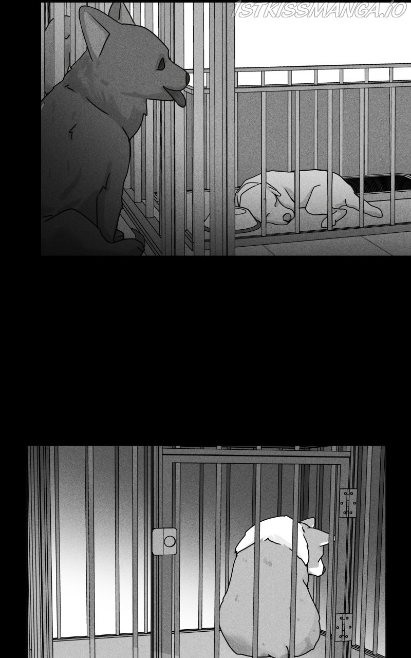 The Dog Diaries Chapter 81 - page 42