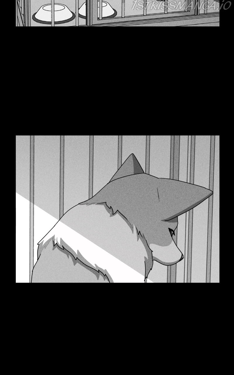 The Dog Diaries Chapter 81 - page 43