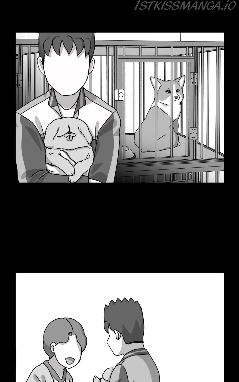 The Dog Diaries Chapter 81 - page 44