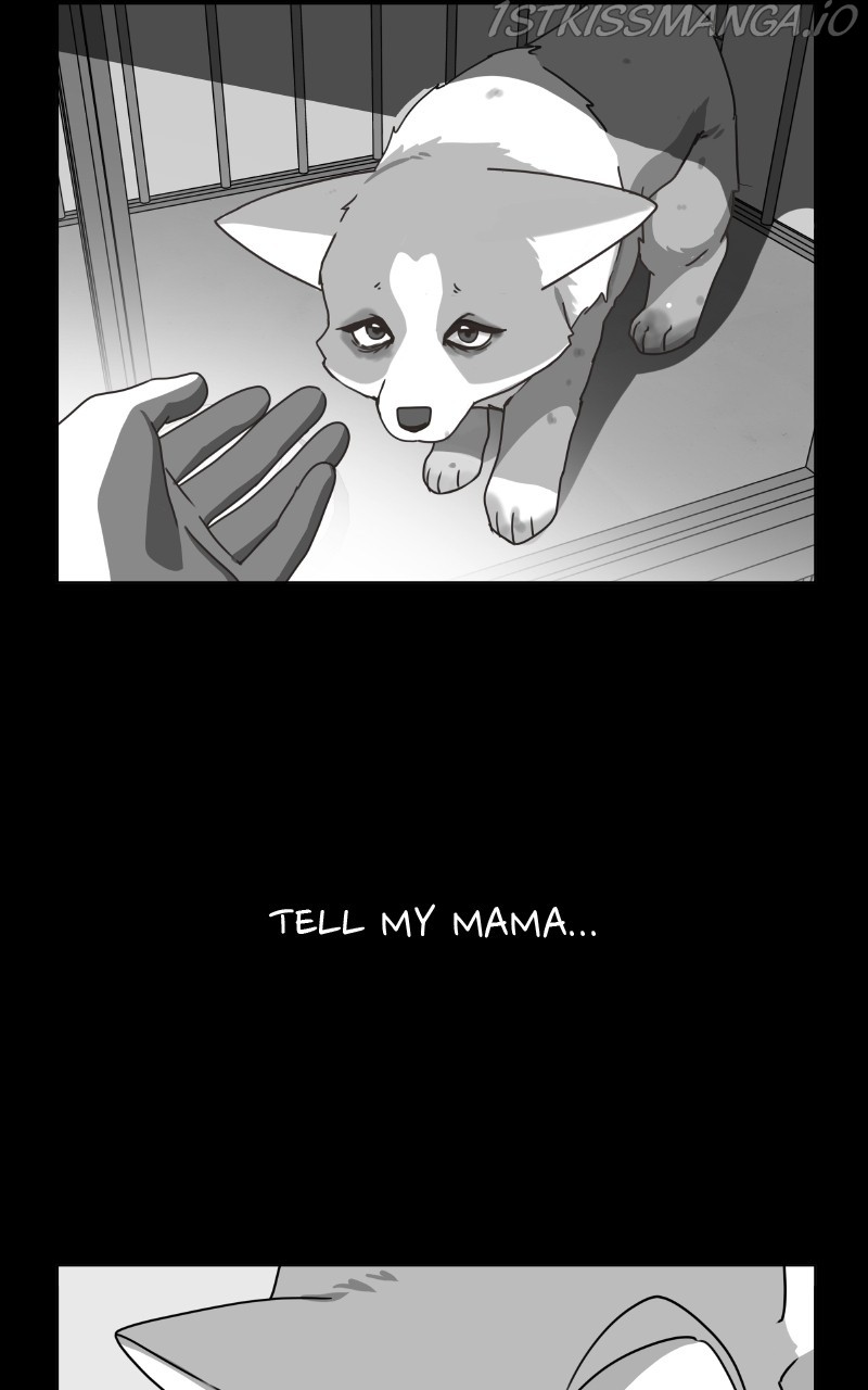 The Dog Diaries Chapter 81 - page 49