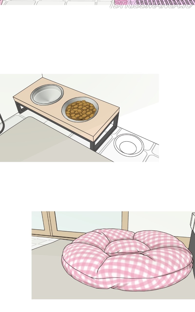 The Dog Diaries Chapter 81 - page 54