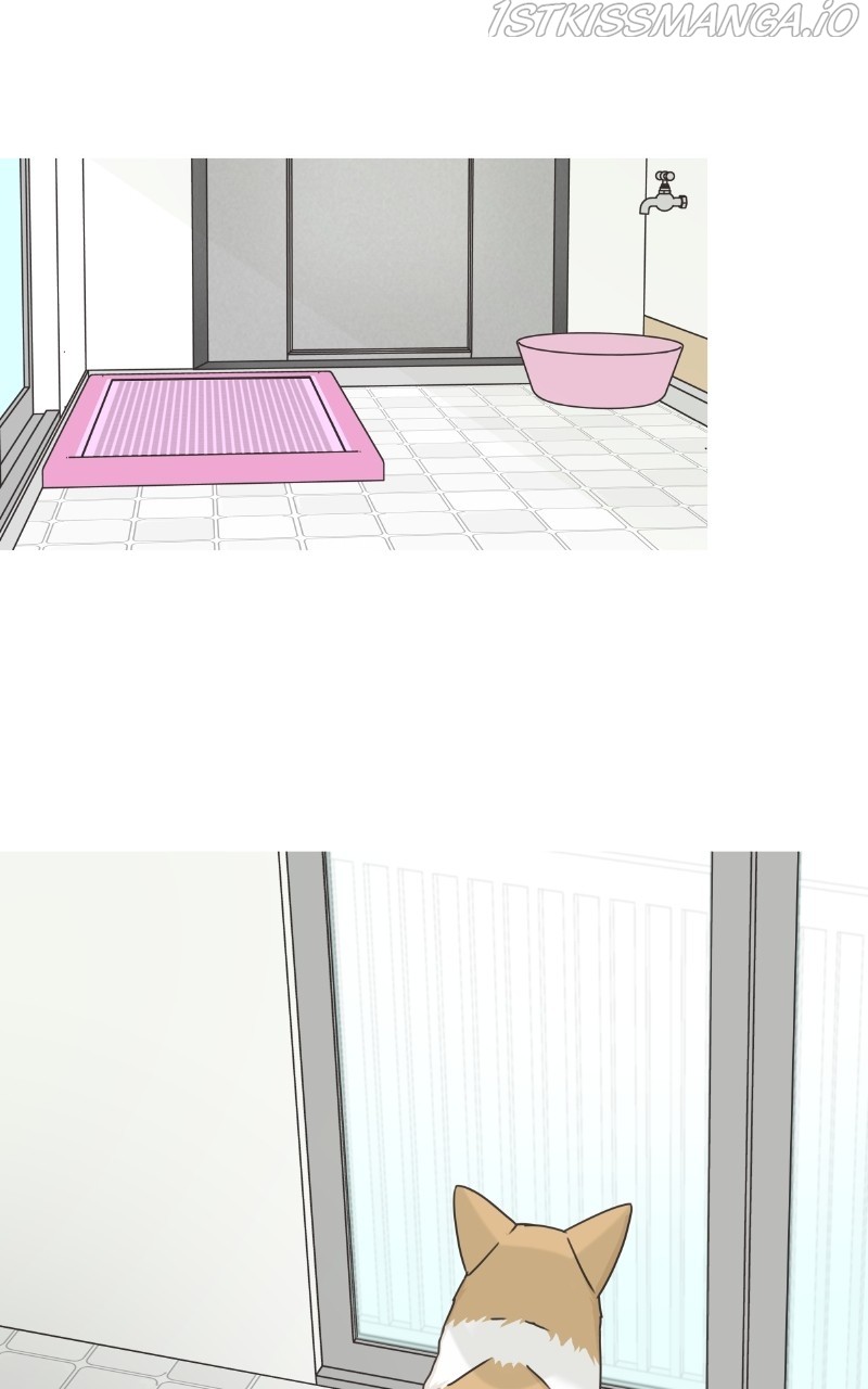 The Dog Diaries Chapter 81 - page 55