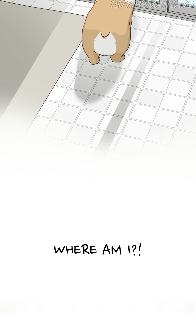 The Dog Diaries Chapter 81 - page 56