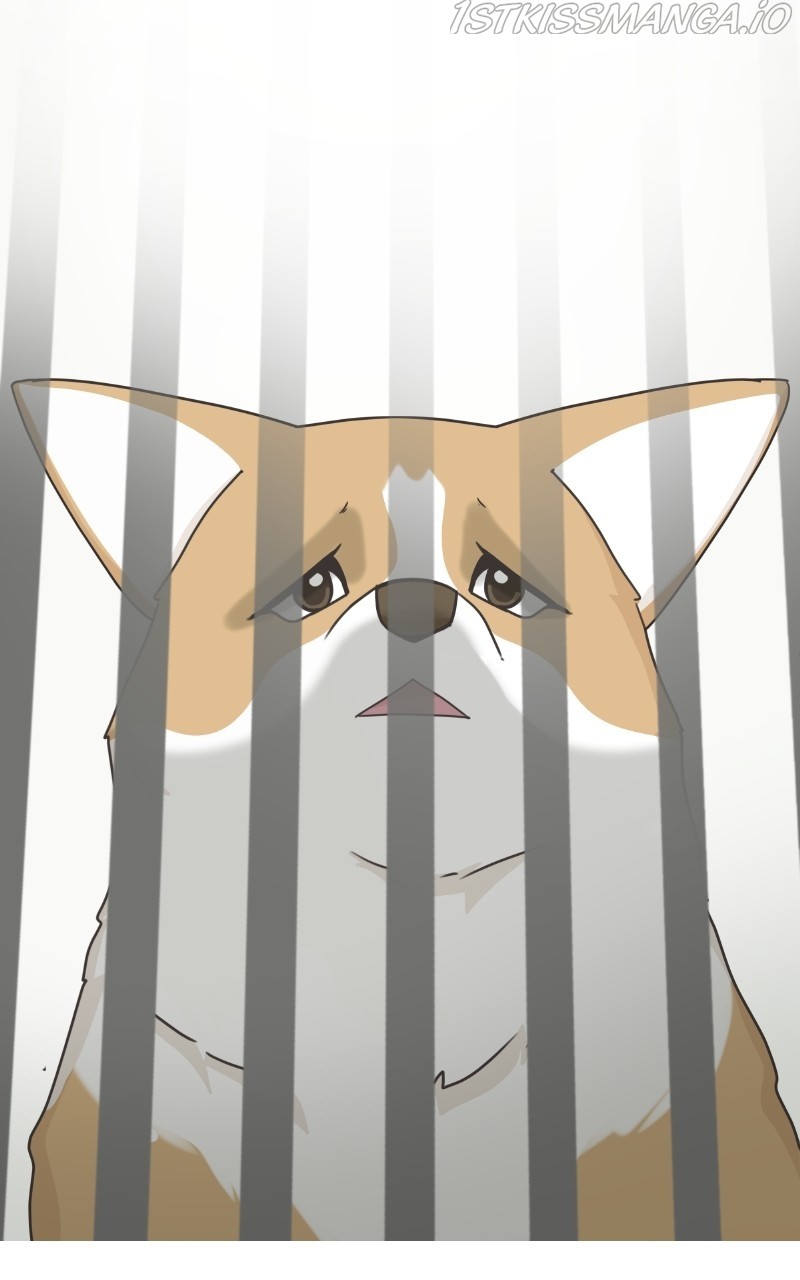 The Dog Diaries Chapter 81 - page 57