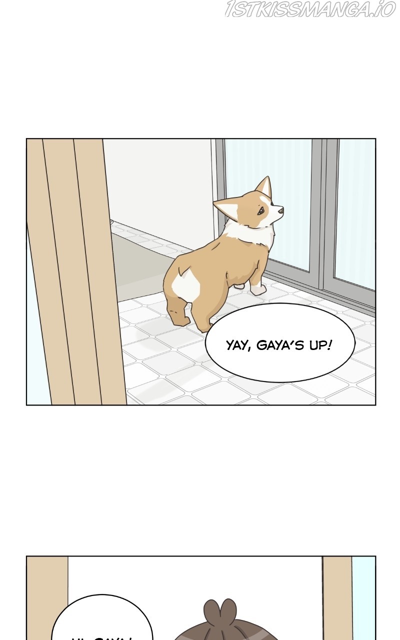 The Dog Diaries Chapter 81 - page 58