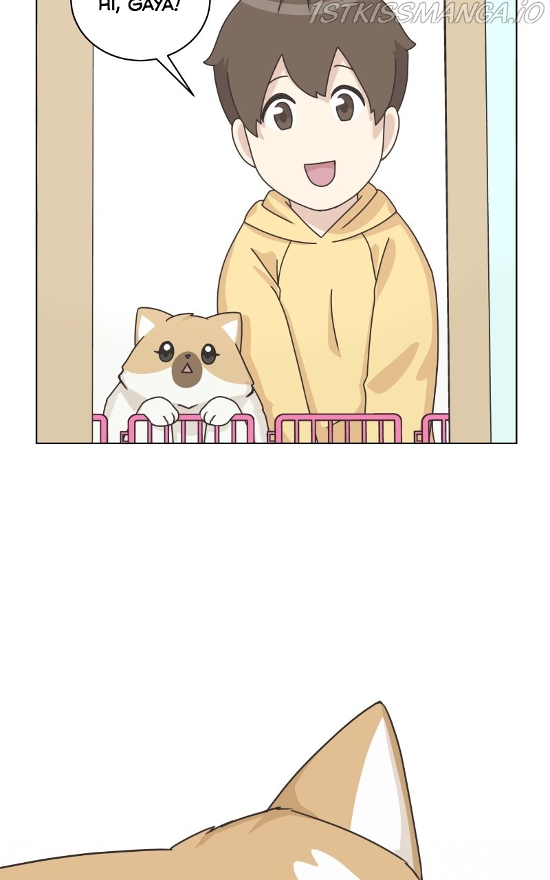 The Dog Diaries Chapter 81 - page 59