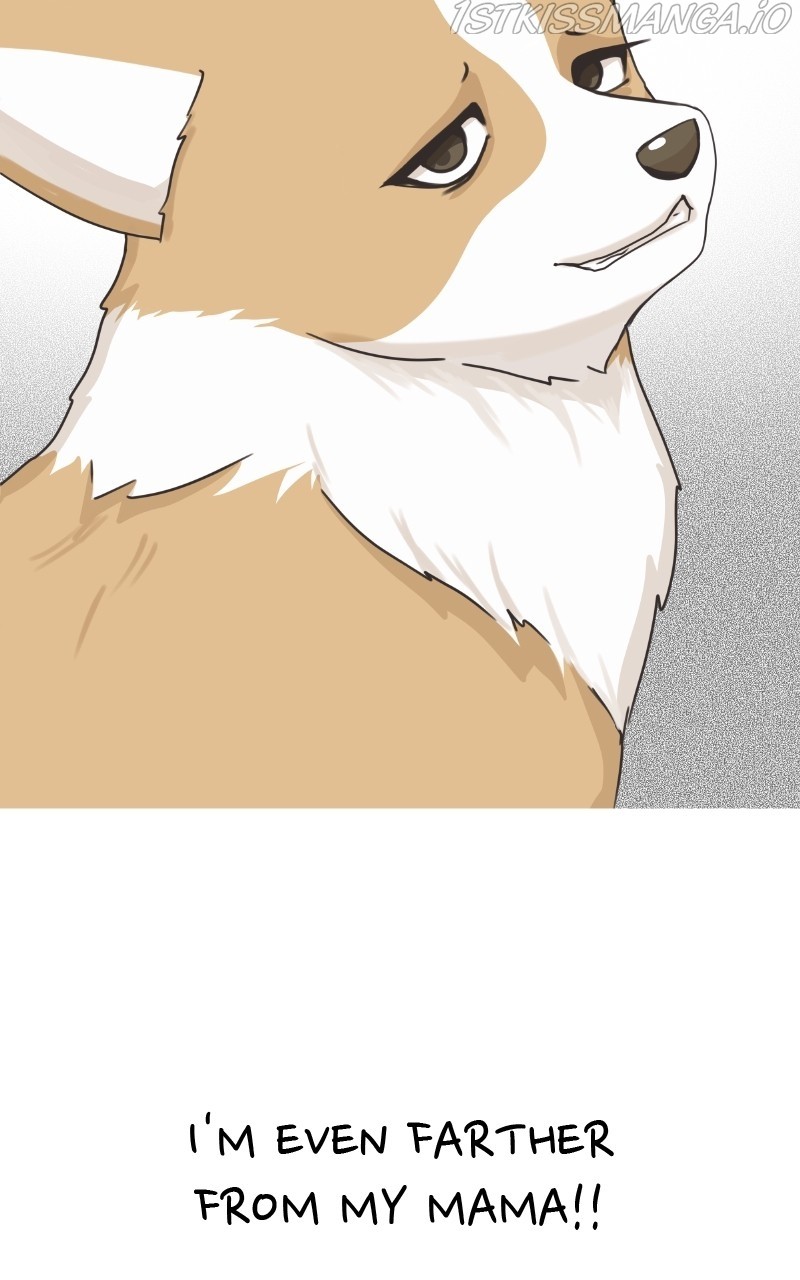 The Dog Diaries Chapter 81 - page 60