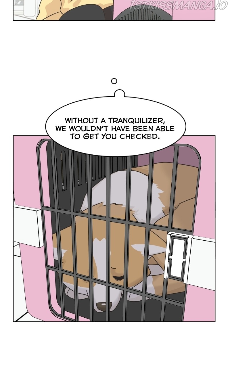 The Dog Diaries Chapter 80 - page 54