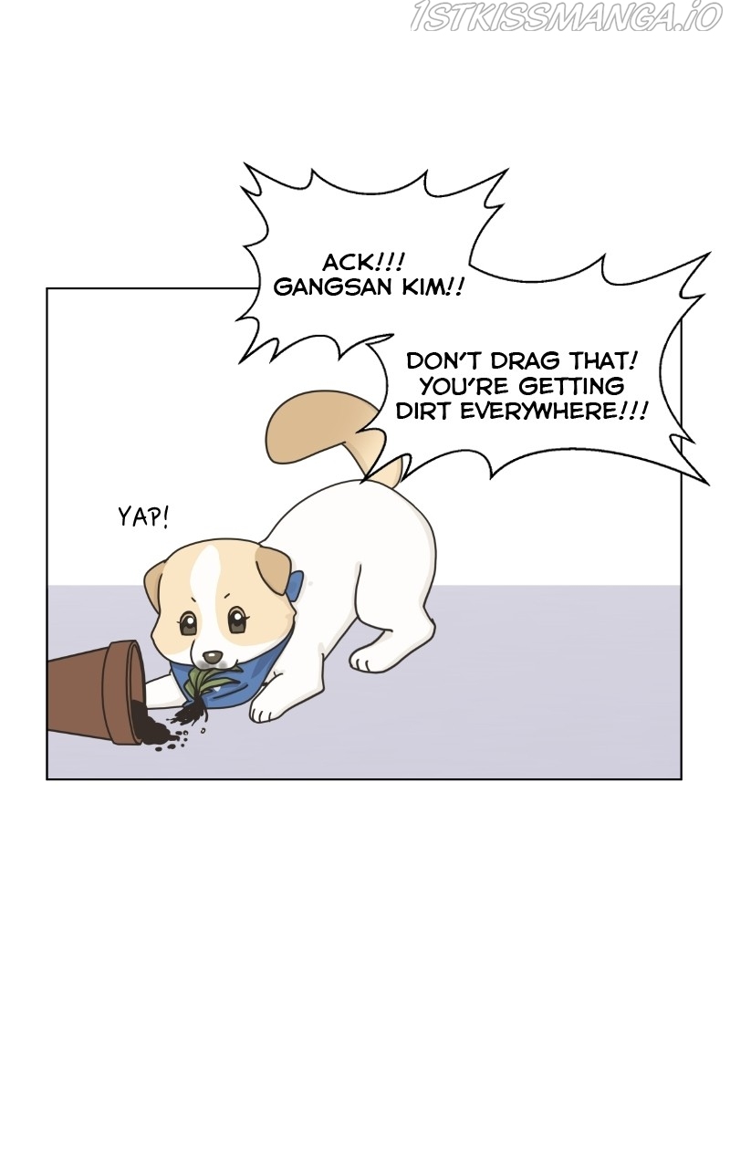 The Dog Diaries Chapter 79 - page 15