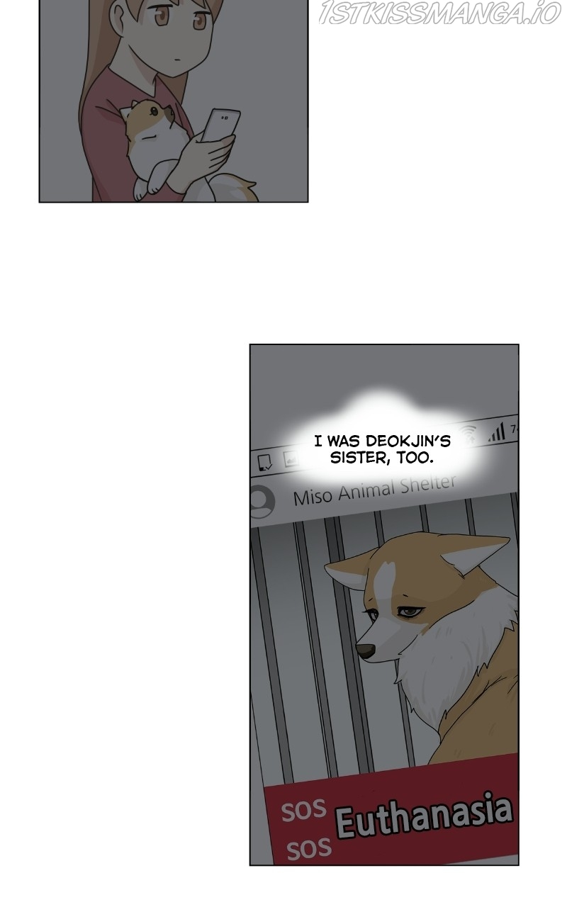 The Dog Diaries Chapter 79 - page 42
