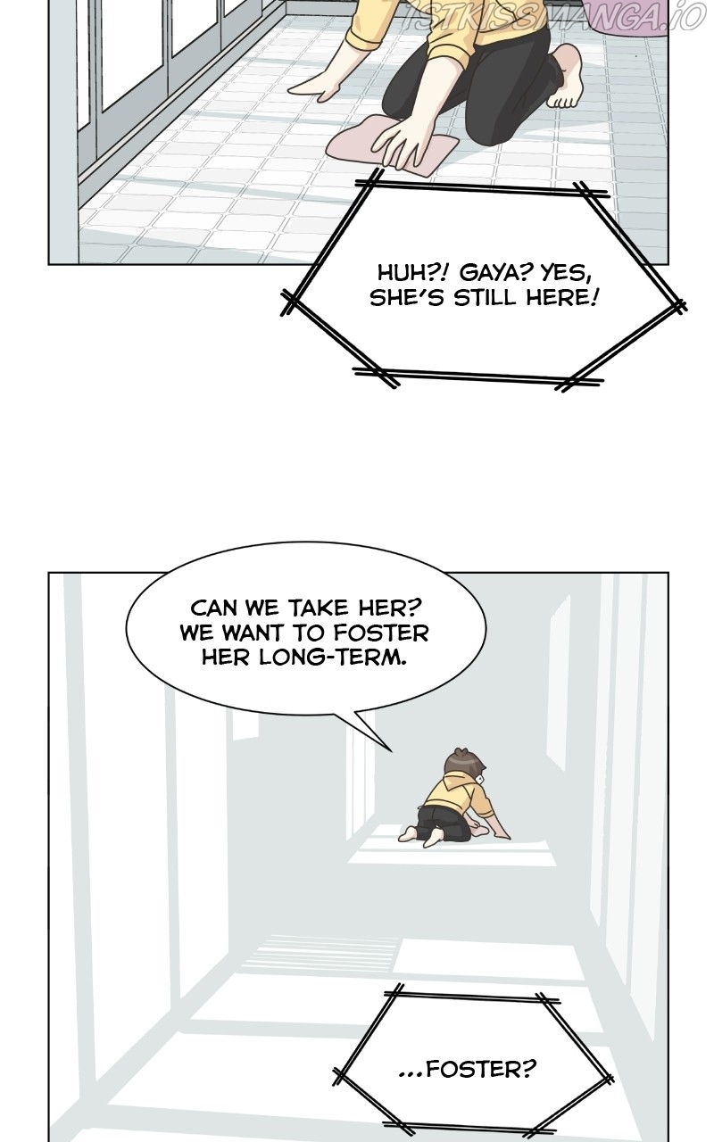 The Dog Diaries Chapter 79 - page 51