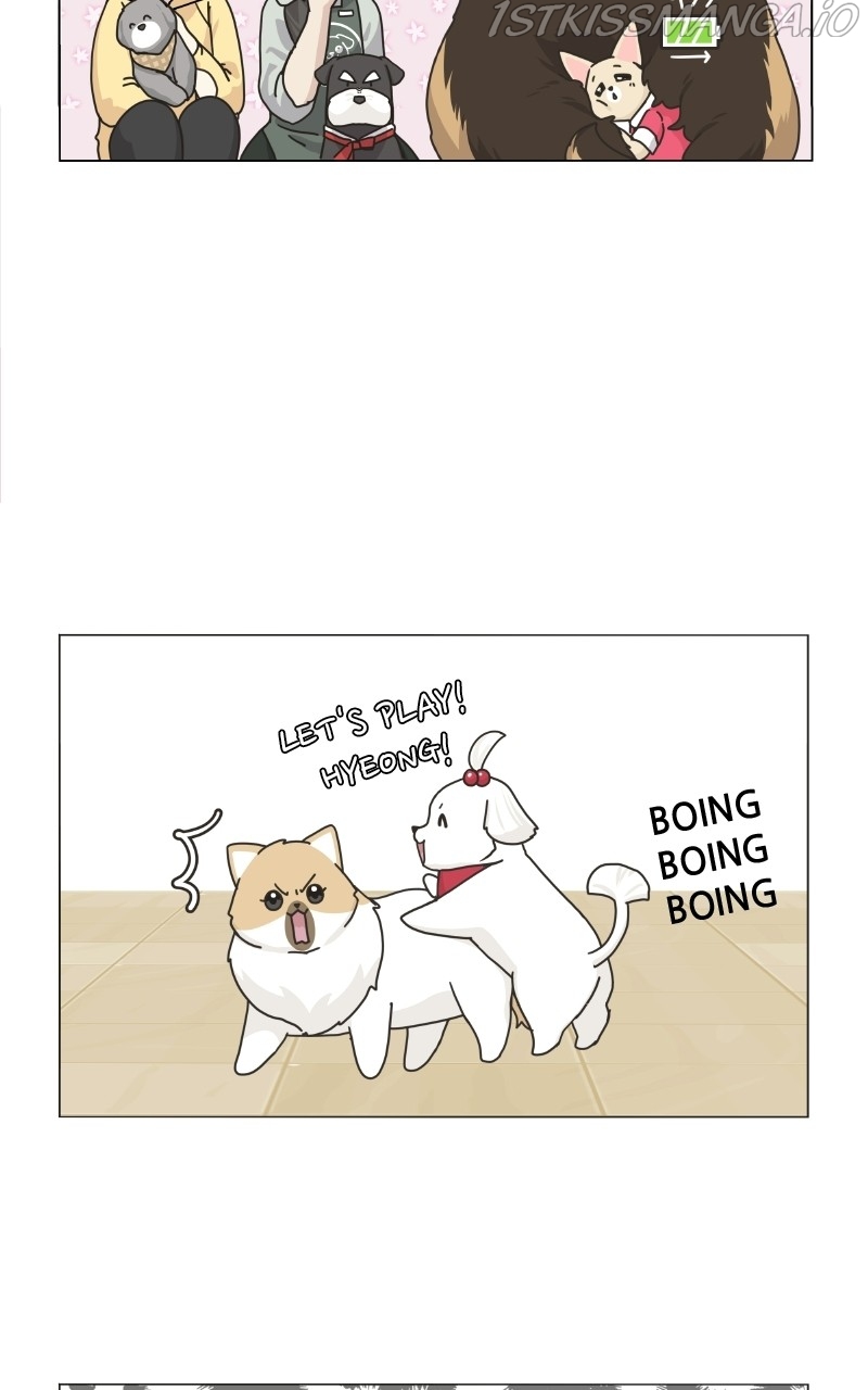 The Dog Diaries Chapter 78 - page 38