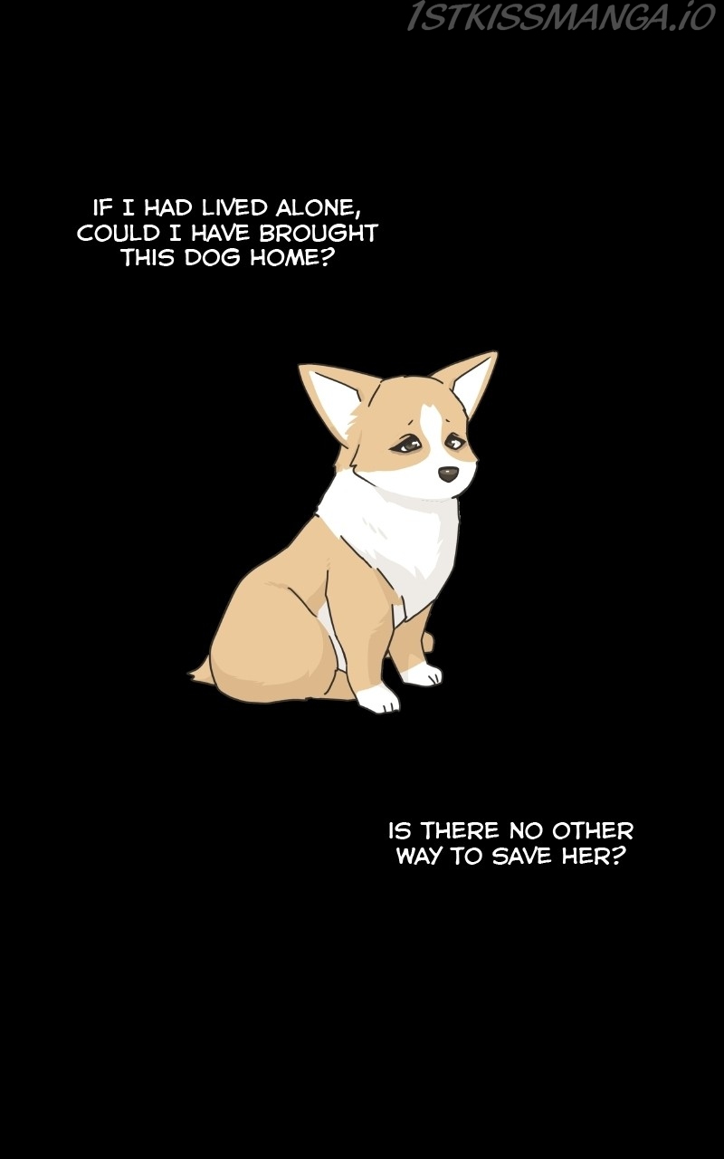 The Dog Diaries Chapter 78 - page 73