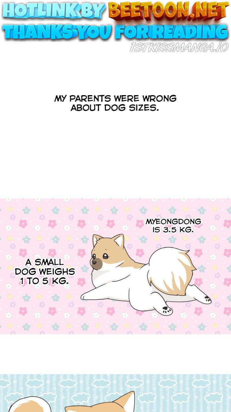 The Dog Diaries Chapter 77 - page 1