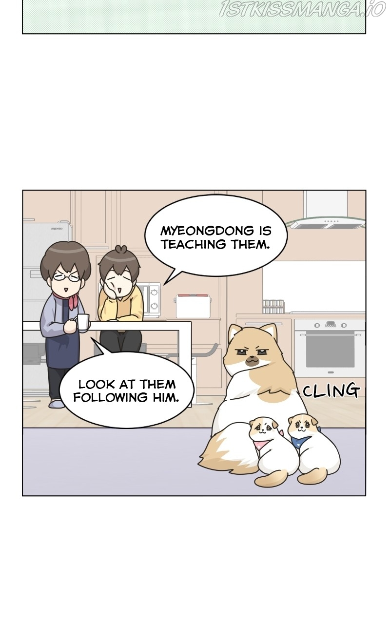 The Dog Diaries Chapter 76 - page 66