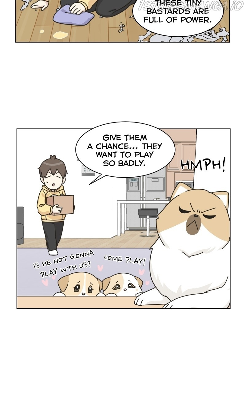 The Dog Diaries Chapter 75 - page 35