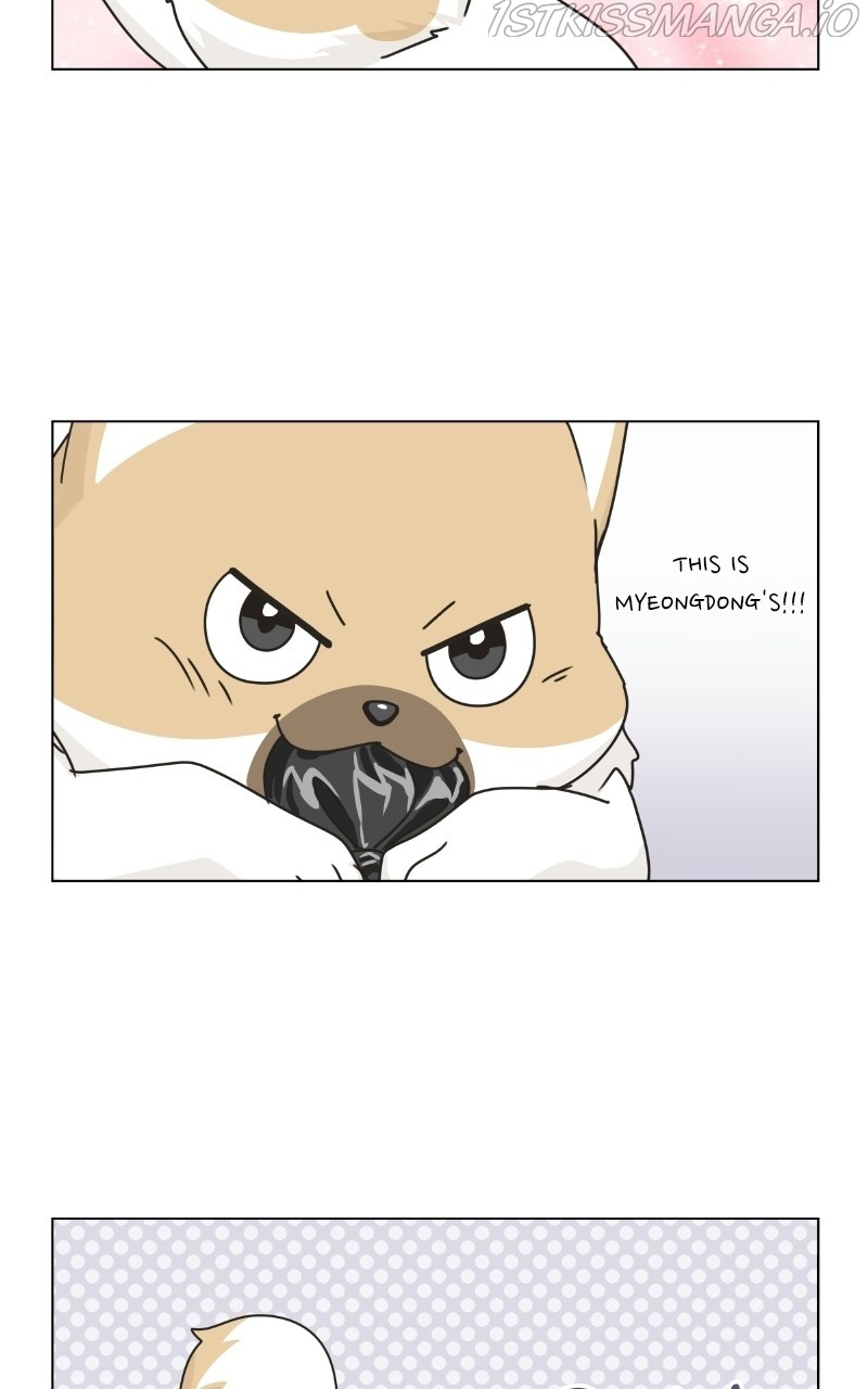 The Dog Diaries Chapter 75 - page 42